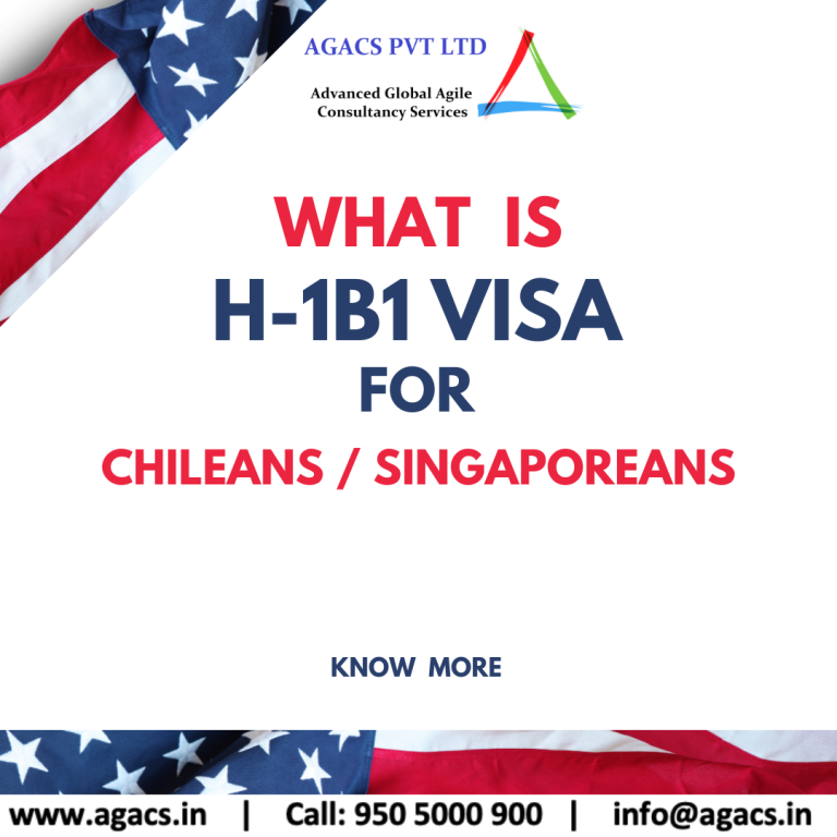 What is an H-1B1 Visa?